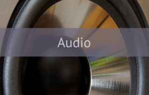audio speaker label